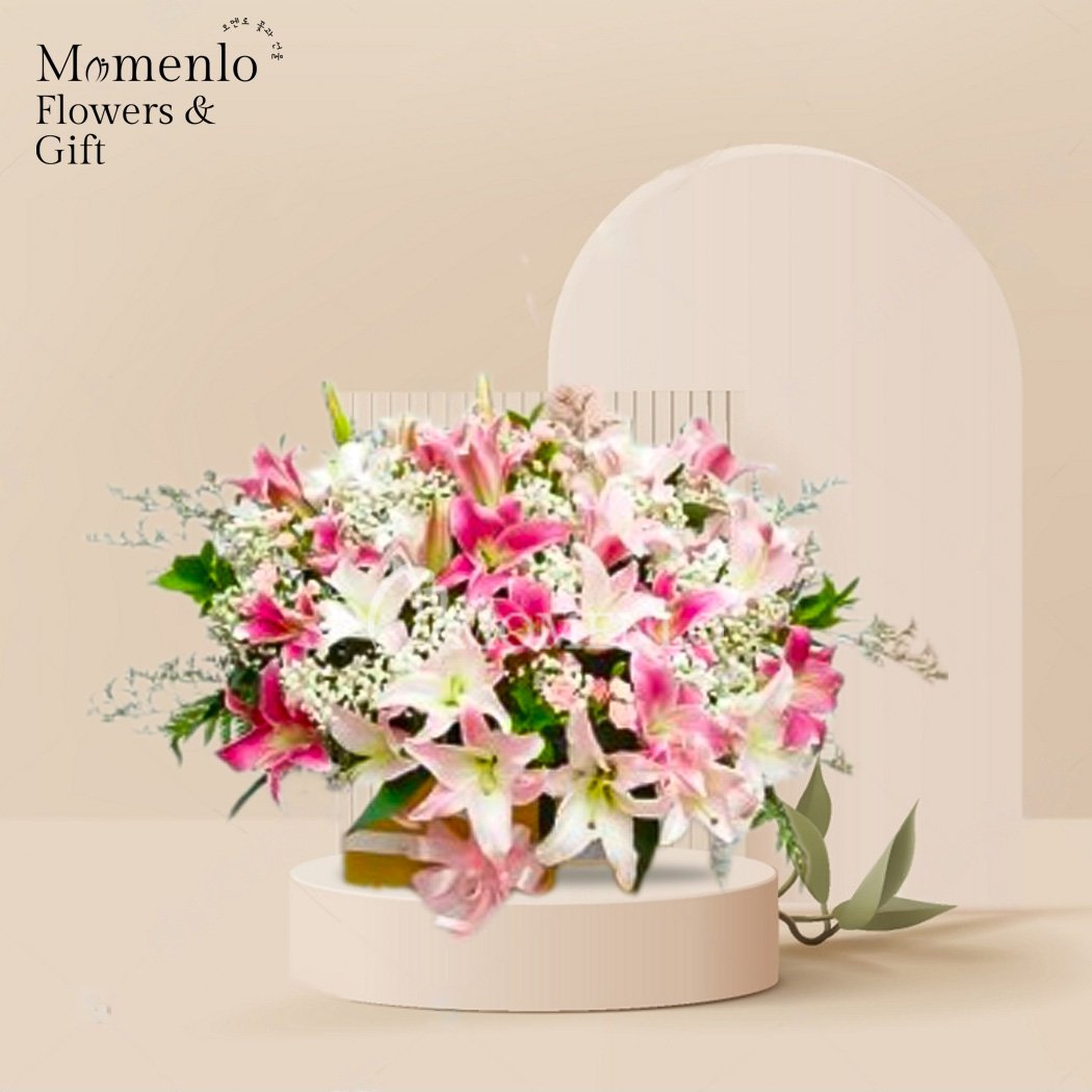 Bloombox Yogyakarta 05