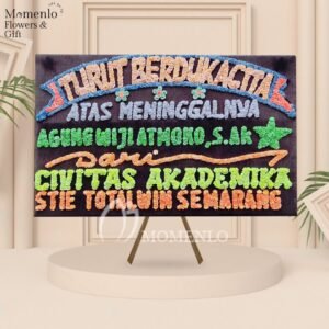 Bunga Dukacita Jambi 3