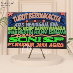 Bunga Dukacita Jambi 4