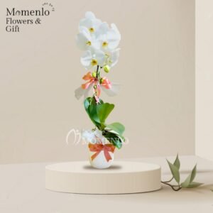 Bunga Meja Banjarmasin 2