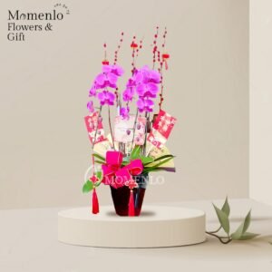 Bunga Meja Banjarmasin 3