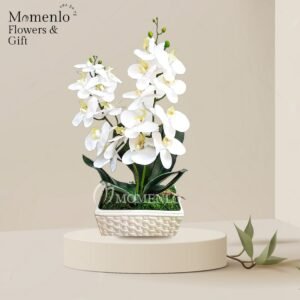 Bunga Meja Lampung 4